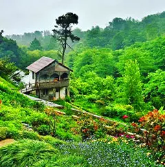 botanicalgardenofbatumi