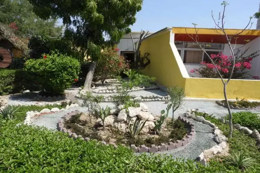 سیمرغ کیش