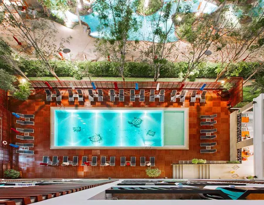 ibishotel