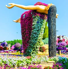 miraclegarden