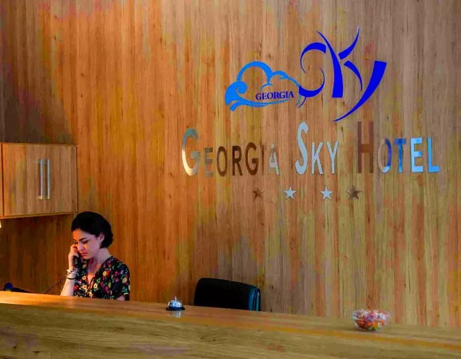 skygeorgia